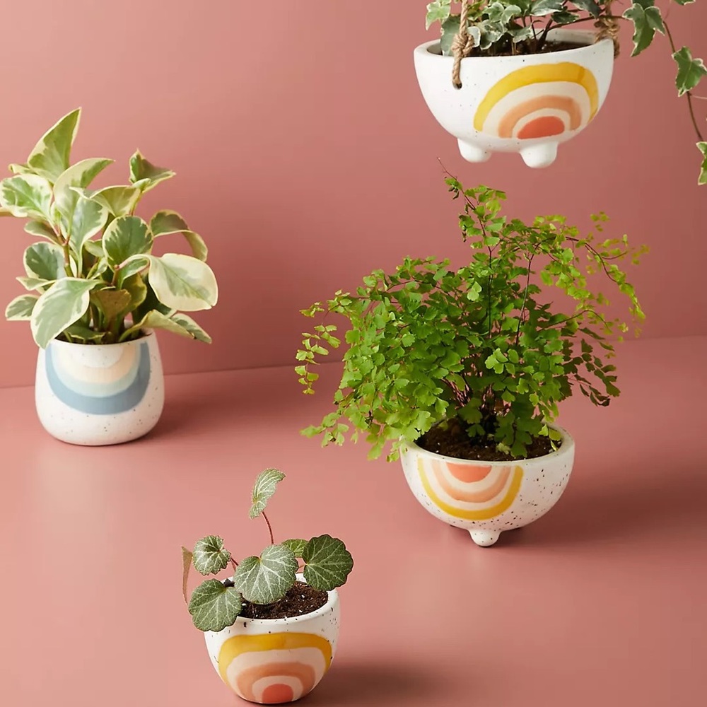 Anthropologie-Iris Rainbow Pot-Small - Picture 2 of 5